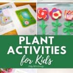 Plant Activities for Kids images