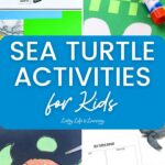 collage of Sea Turtle Activities for Kids