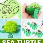 collage of Sea Turtle Activities for Kids