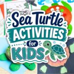 collage of Sea Turtle Activities for Kids