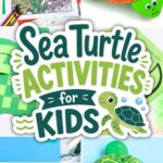 collage of Sea Turtle Activities for Kids