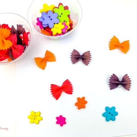 Pasta Butterfly craft
