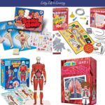 Human Anatomy Games for Kids