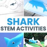 Shark STEM Activities