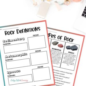 Types of Rocks Worksheets