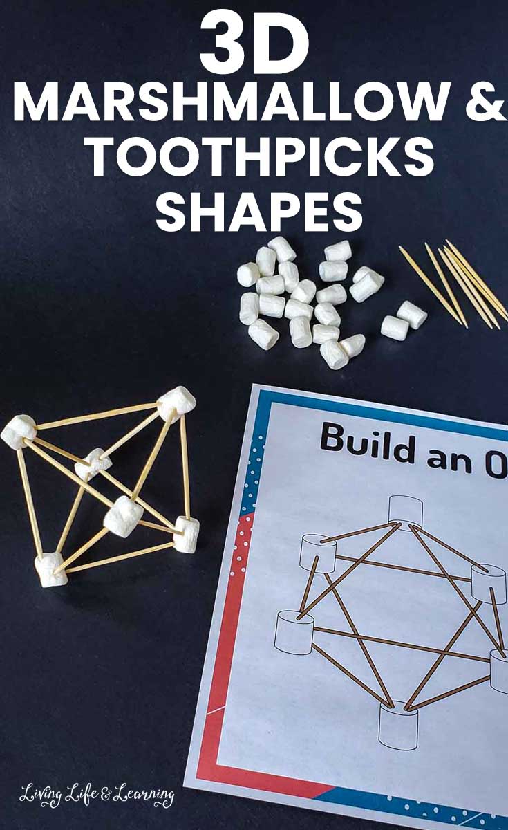 3D Marshmallow and Toothpicks Shapes
