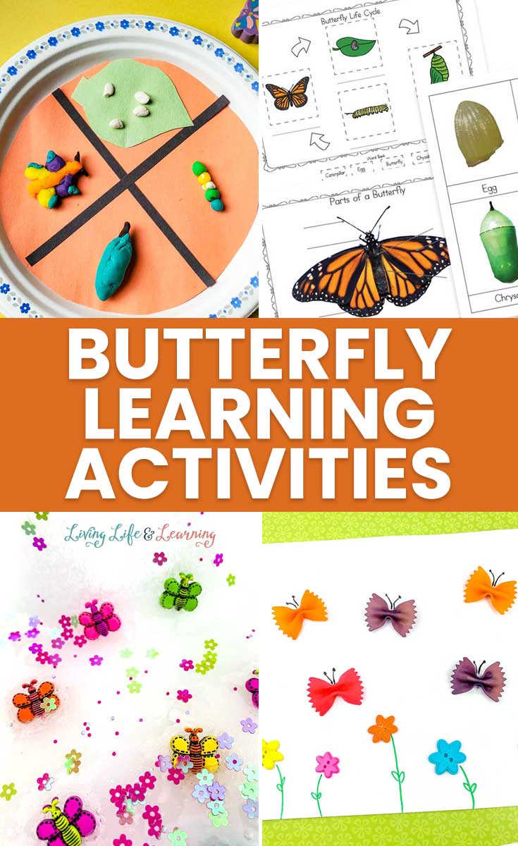 Butterfly Learning Activities