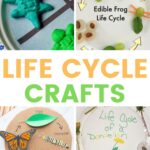 Fun Life Cycle Crafts