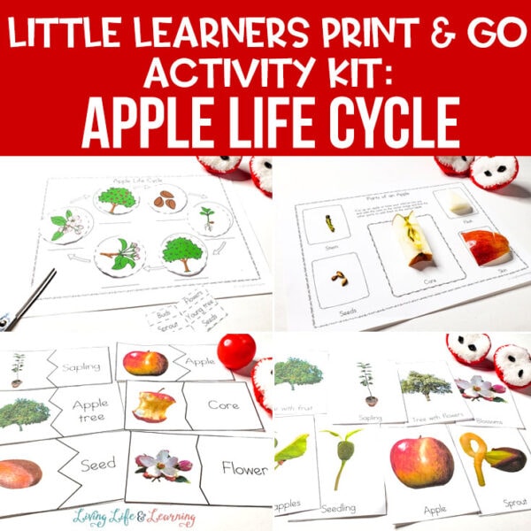 Little Learners Print & Go Activity Kit: Apple Life Cycle