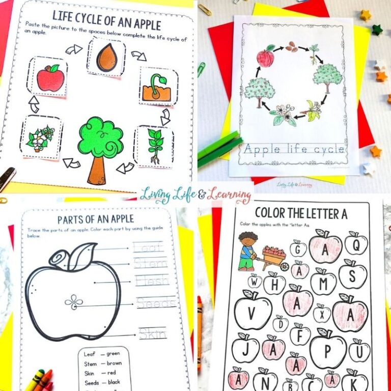 Apple Activities for Kids: Fun Fall Ideas for Creativity and Learning
