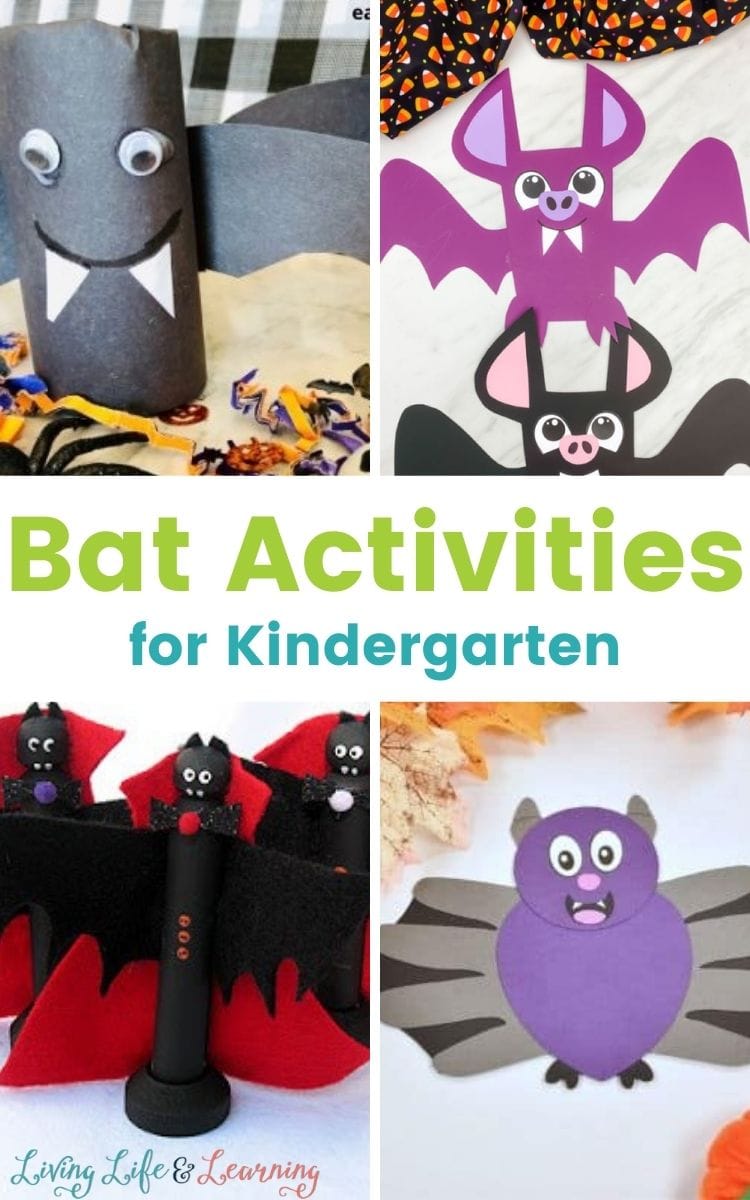 Bat Activities for Kindergarten