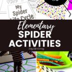 Elementary Spider Activities