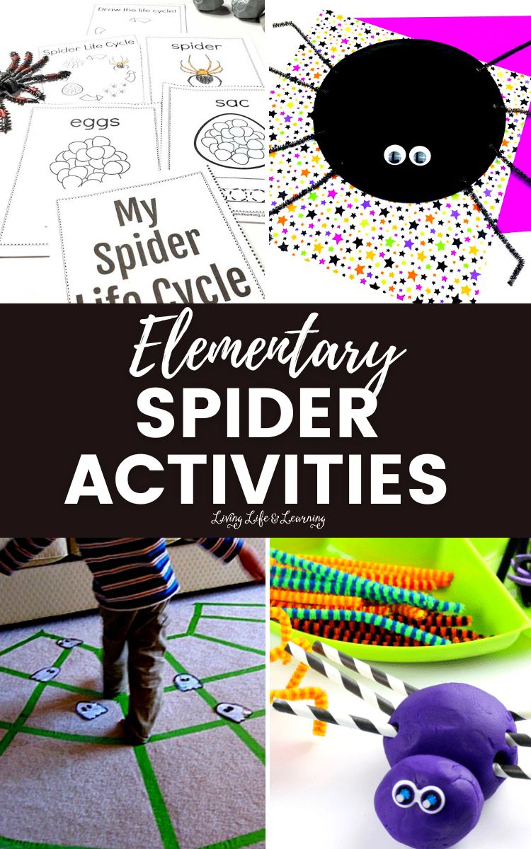 Elementary Spider Activities