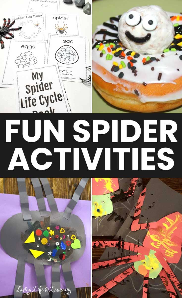 Fun Spider Activities for Kids