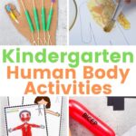 Human Body Activities for Kindergarten