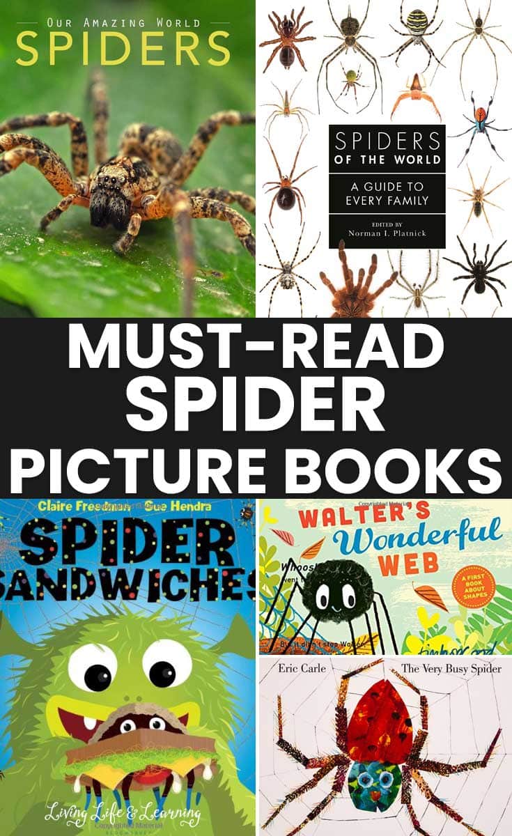 Must-Read Spider Picture Books