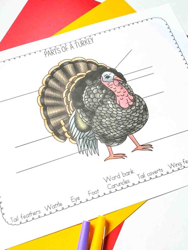 Parts of a Turkey Worksheet Story