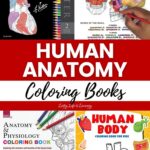 A collage of Human Anatomy Coloring Books