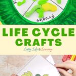 Life Cycle Crafts: Top panel: Life cycle of a frog made out of candies. Bottom panel: 3d life cycle craft of a pumpkin.