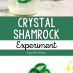 Crystal Shamrock Experiment