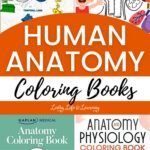 A collage of Human Anatomy Coloring Books