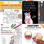 A collage of Human Anatomy Coloring Books