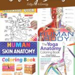 A collage of Human Anatomy Coloring Books