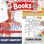 A collage of Human Anatomy Coloring Books