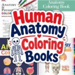 A collage of Human Anatomy Coloring Books