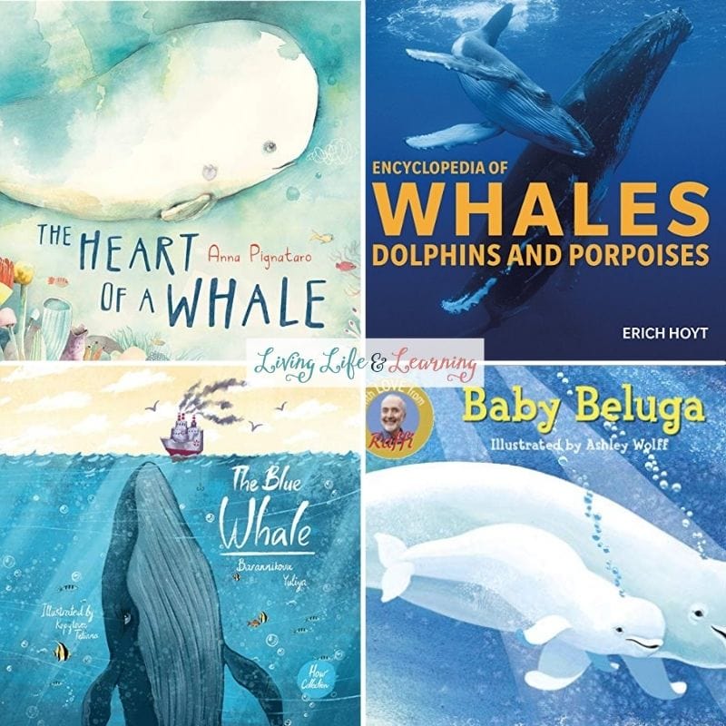 collage of books about whales for kids