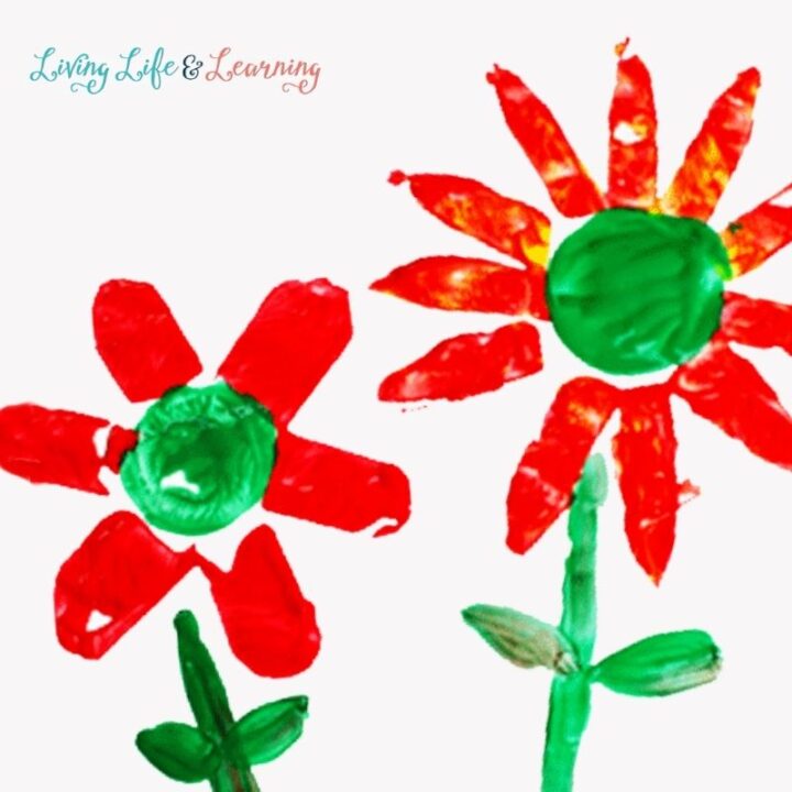 Toilet Paper Roll Flower Painting Activity