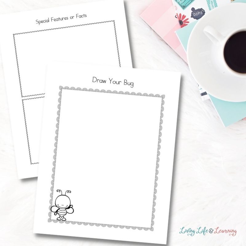 bug notebooking pages next to a coffee