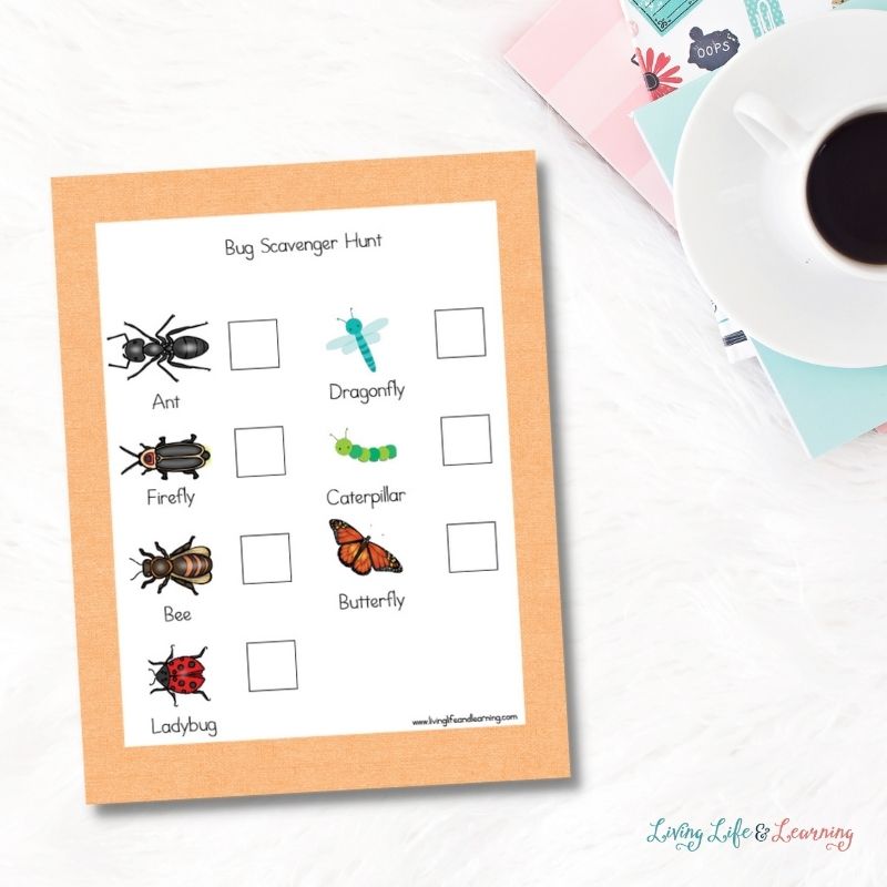 bug notebooking pages next to a coffee