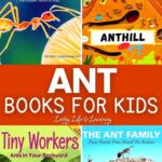 collage of ant books for kids