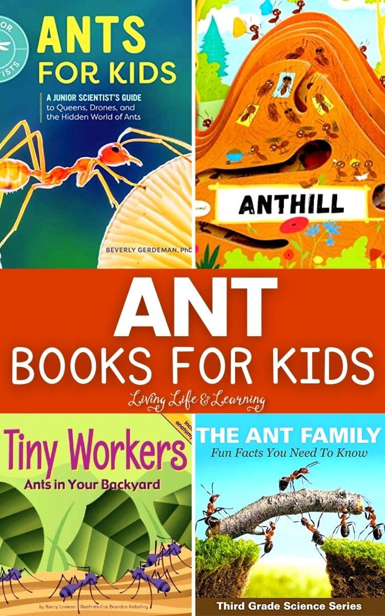 collage of ant books for kids