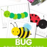 bug counting cards and puzzles on a desk