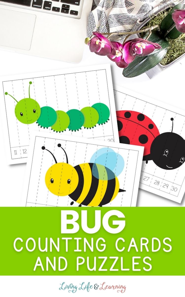 Bug Counting Cards and Puzzles