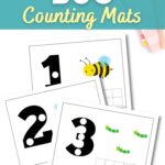 bug counting mats