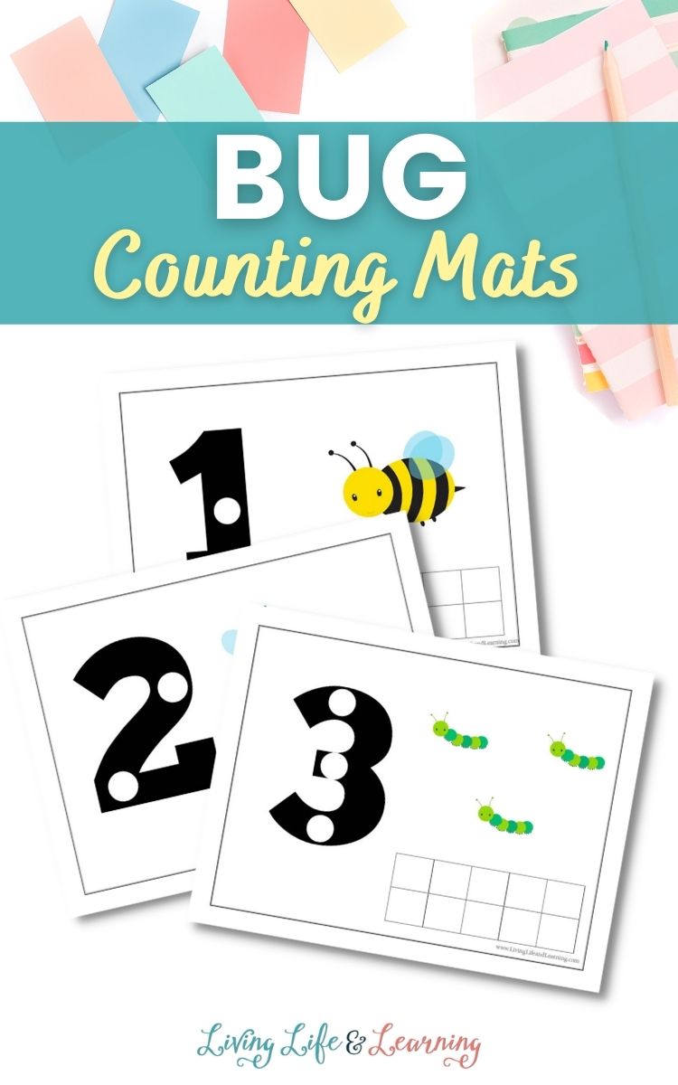 Bug counting mats on a table with colored papers and a pencil