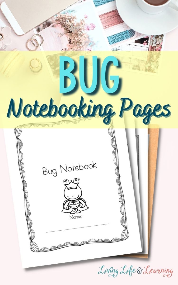 Bug Notebooking pages on a table next to a cup of coffee and some photos