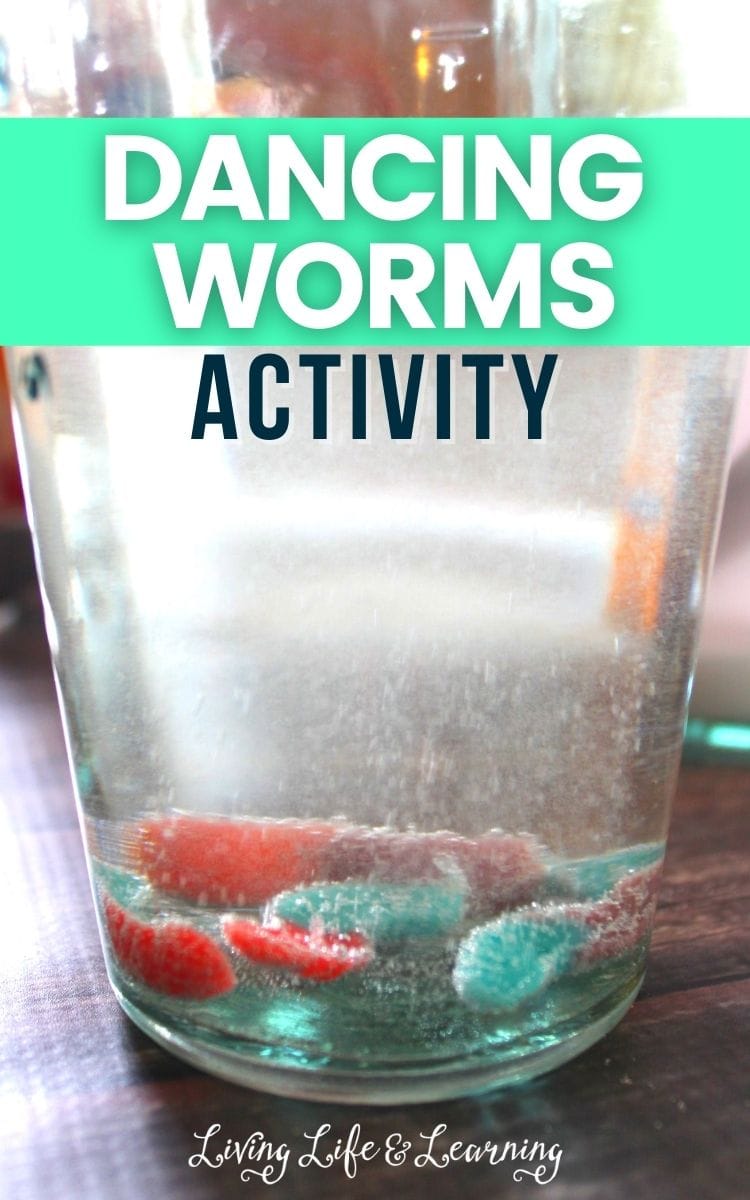 Dancing worms science activity in glass on a table