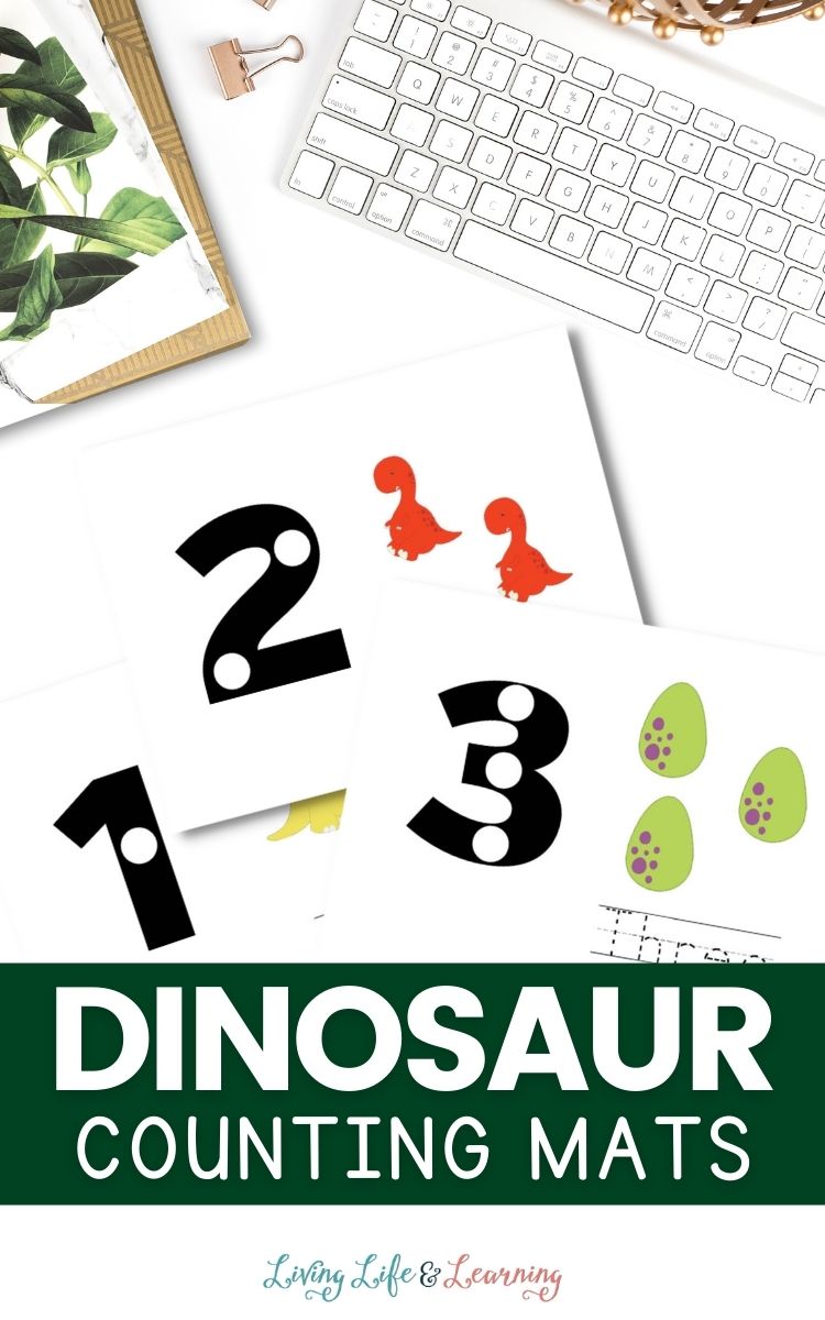 Dinosaur Counting Mats on a computer table
