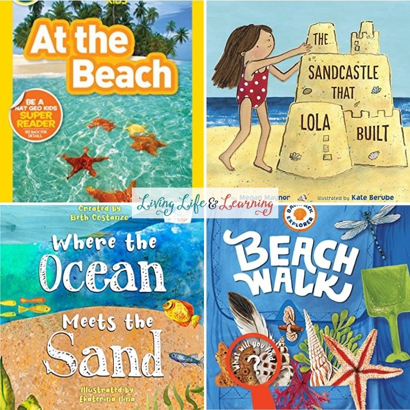 beach books for kids