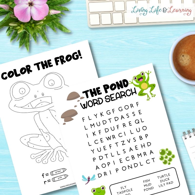 pond life word search printable and color by letter frog coloring page