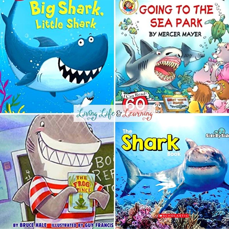 shark books for kindergarten