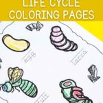 bee life cycle coloring pages