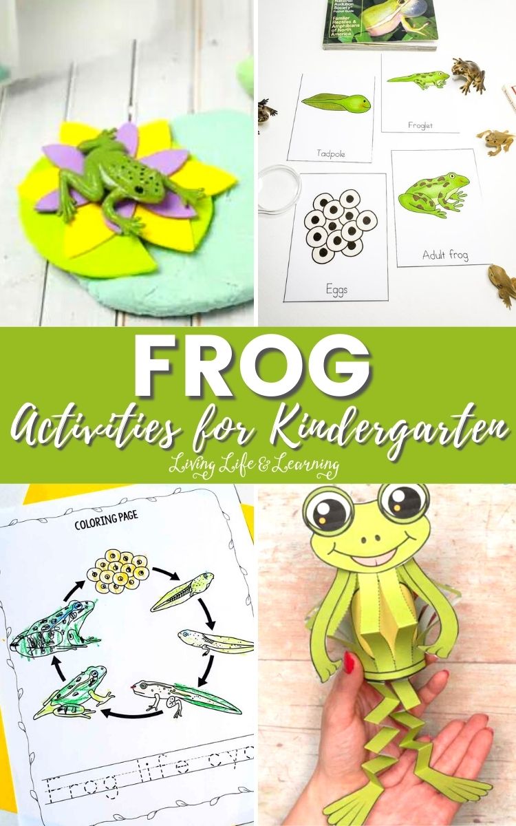Frog Activities for Kindergarten