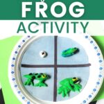 Life Cycle of a Frog Activity