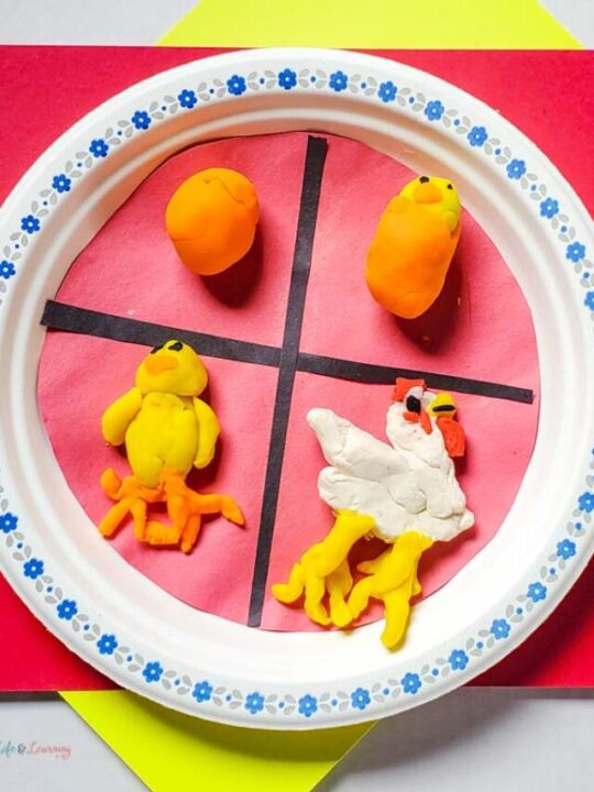 Fun Farm Science Activities for Preschoolers