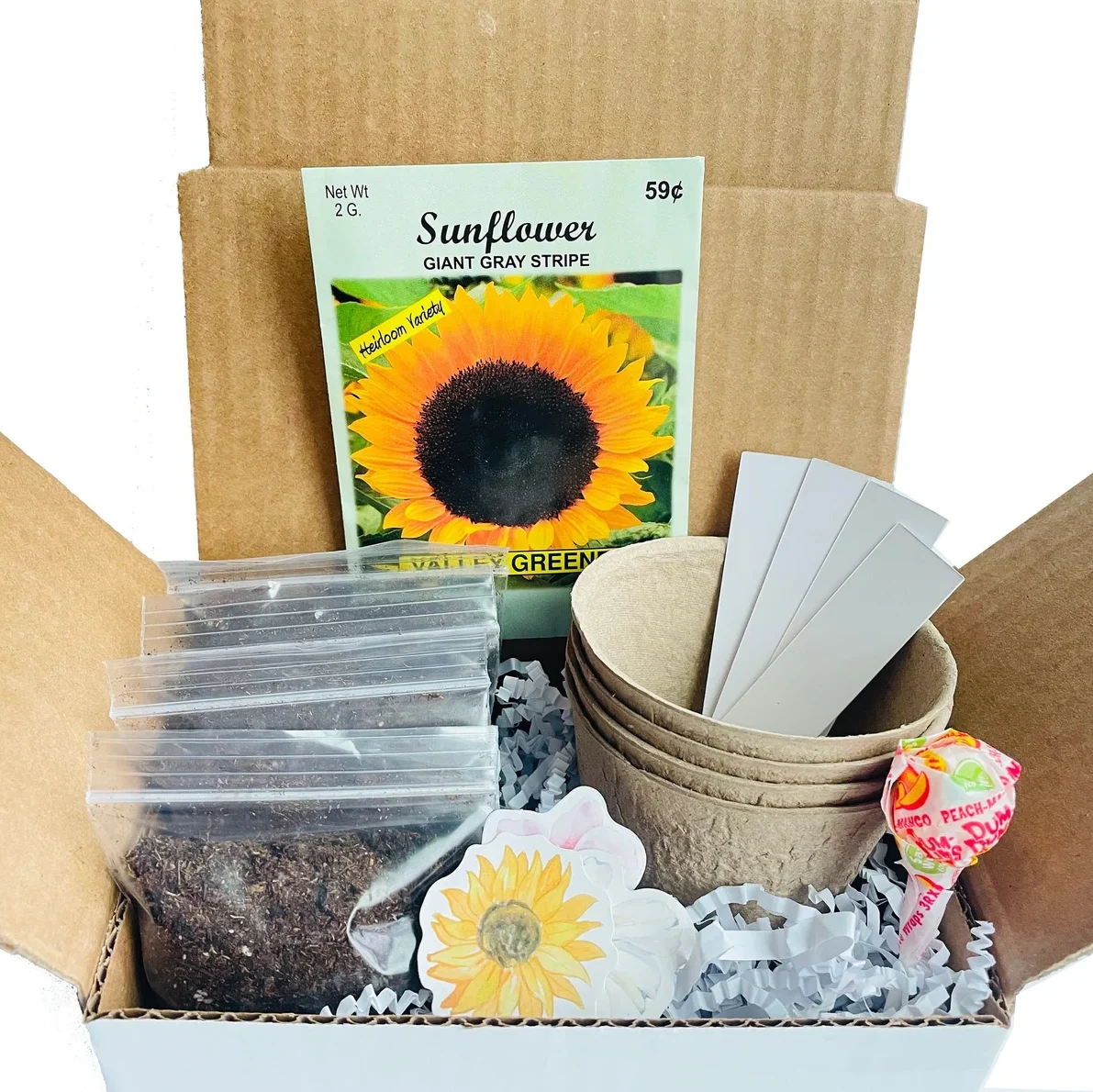 sunflower growing kit